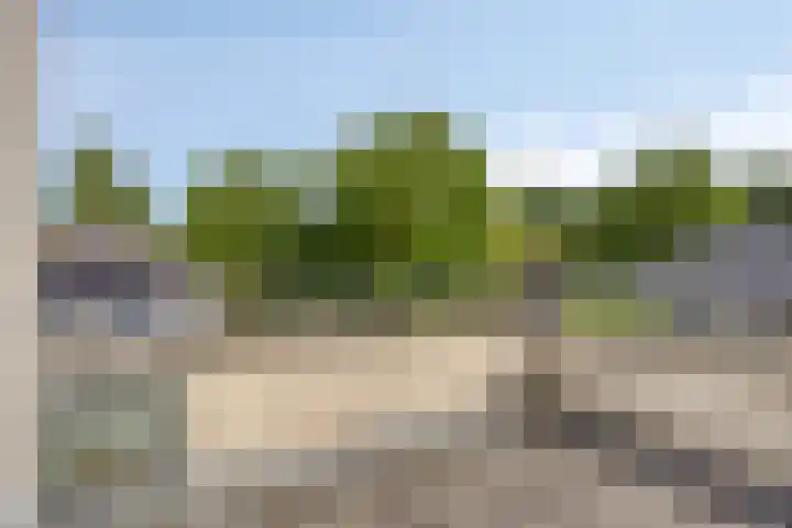 Korenmijt 27 Uden thumbnail 24