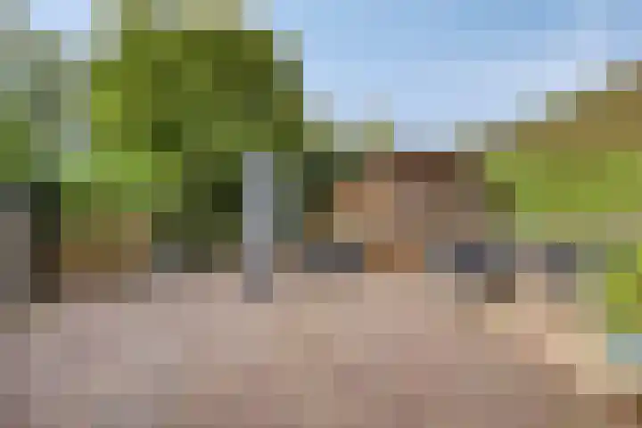 Korenmijt 27 Uden thumbnail 25