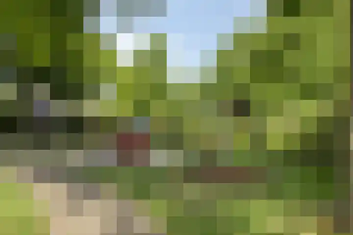 Korenmijt 27 Uden thumbnail 30