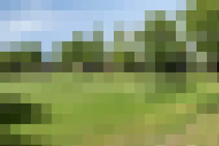 Korenmijt 27 Uden thumbnail 31