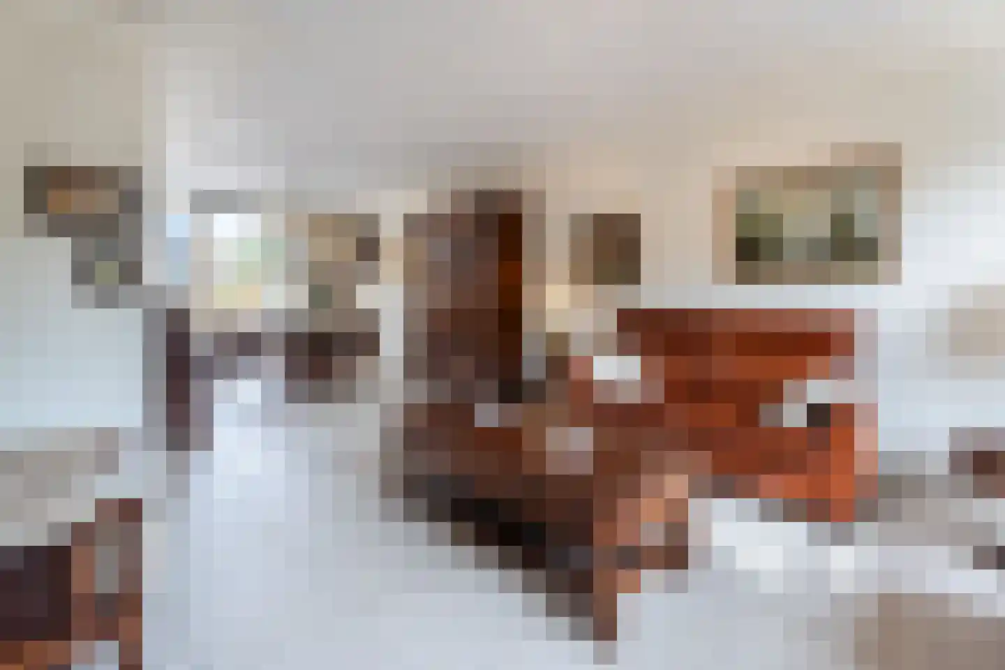 Korenmijt 38 Uden thumbnail 10