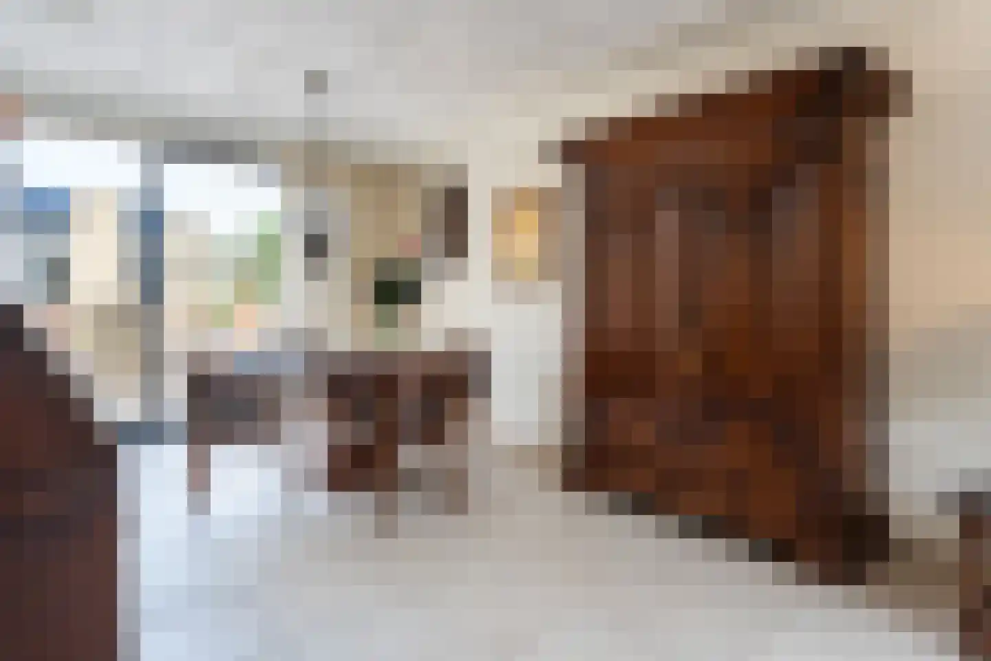 Korenmijt 38 Uden thumbnail 11