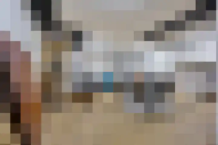 Korenmolen 1 Albergen thumbnail 13