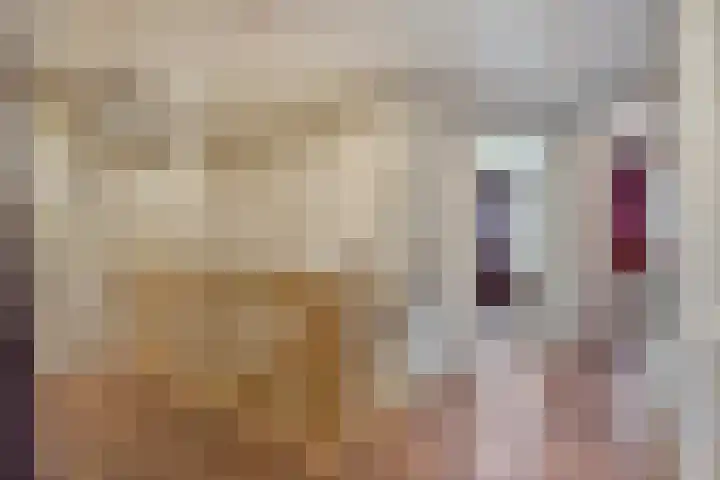 Korenmolen 1 Albergen thumbnail 16