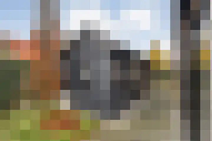 Korenmolen 1 Albergen thumbnail 25