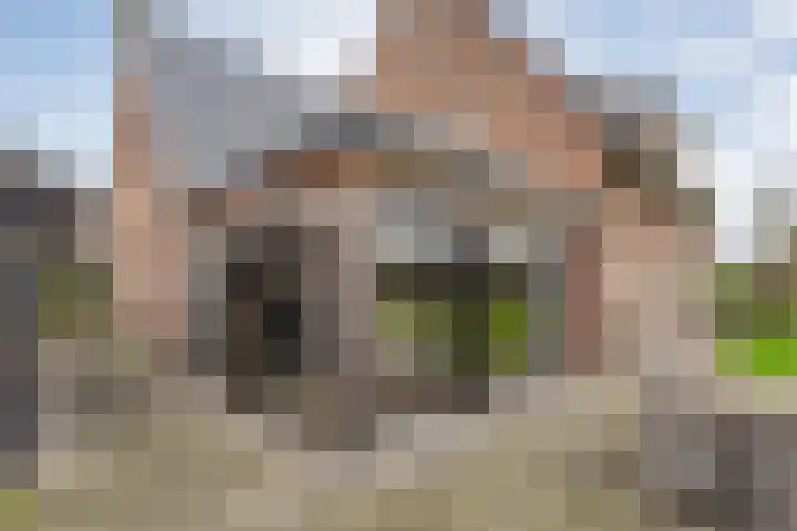 Korenmolen 1 Albergen thumbnail 26