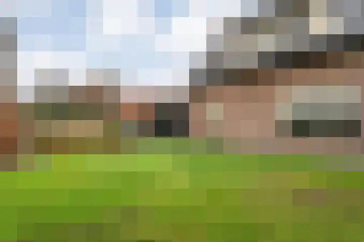 Korenmolen 1 Albergen thumbnail 27