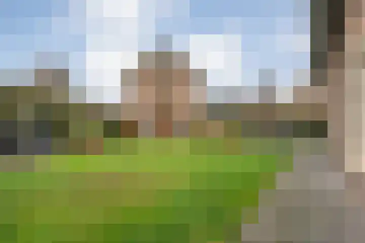 Korenmolen 1 Albergen thumbnail 28