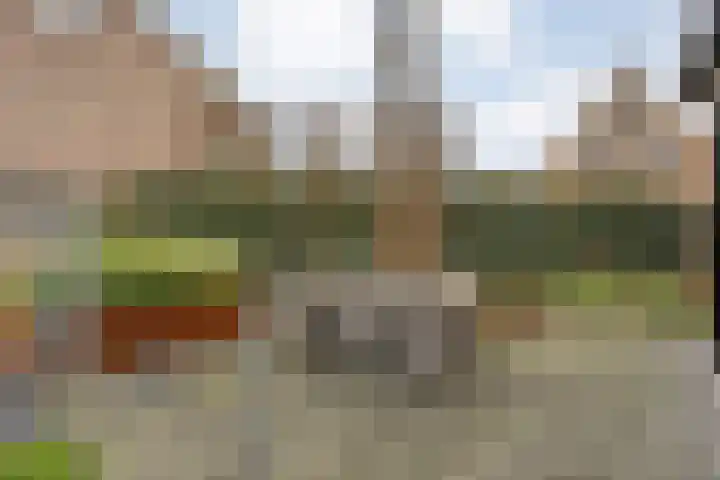 Korenmolen 1 Albergen thumbnail 29