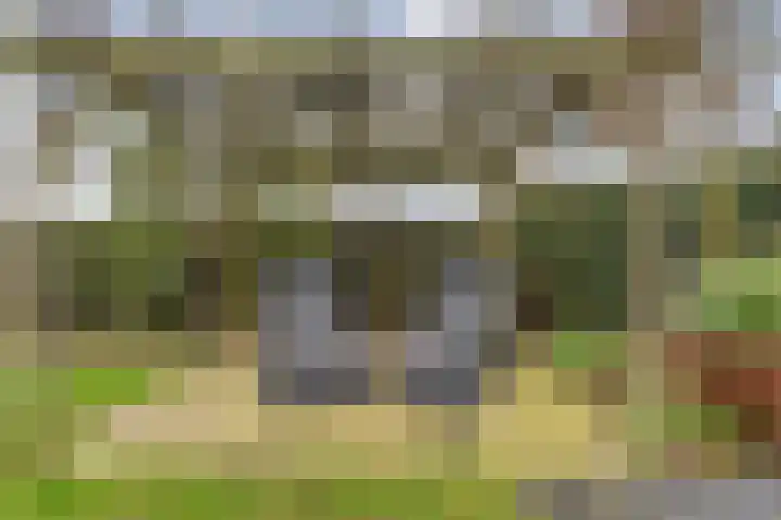 Korenmolen 1 Albergen thumbnail 30