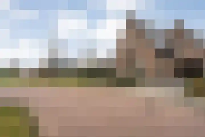 Korenmolen 1 Albergen thumbnail 32