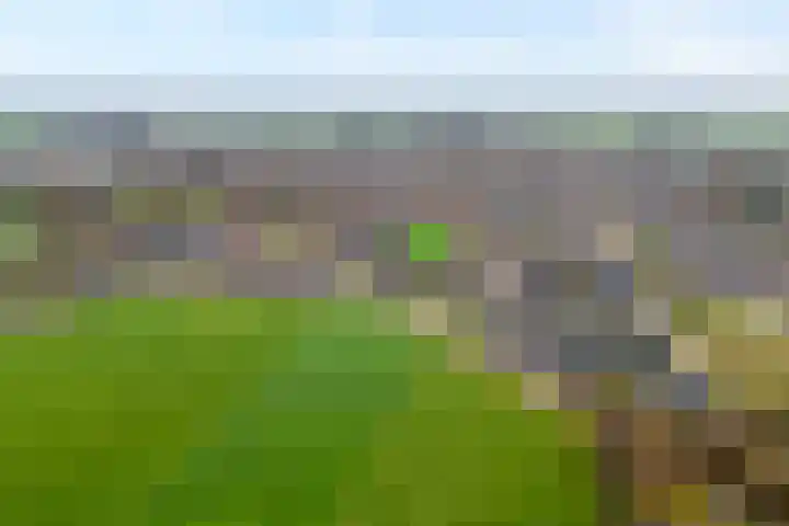 Korenmolen 1 Albergen thumbnail 33
