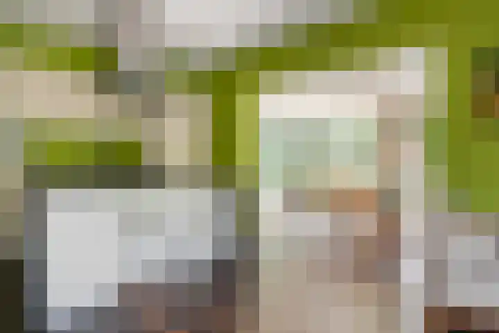Korenmolen 1 Schagen thumbnail 10