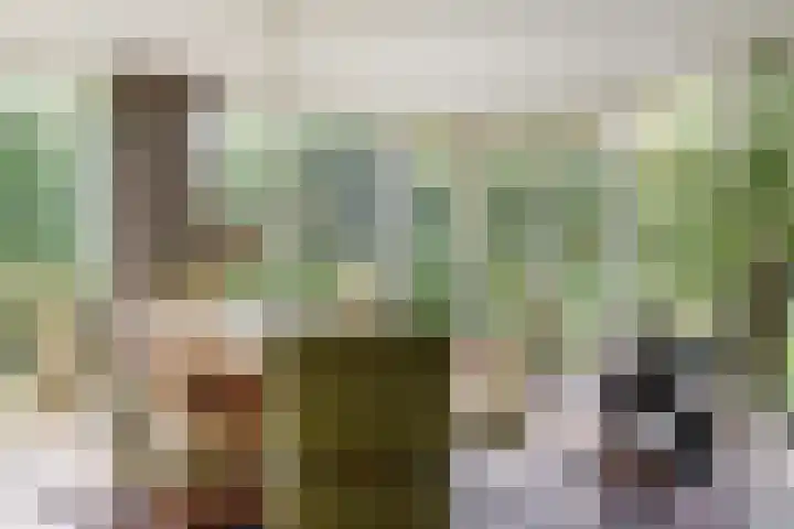 Korenmolen 1 Schagen thumbnail 12