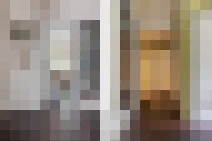 Korenmolen 1 Schagen thumbnail 13