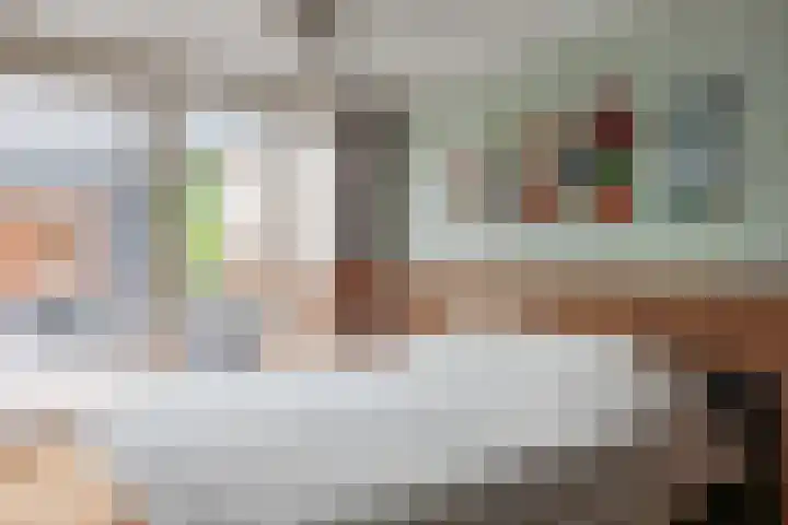Korenmolen 1 Schagen thumbnail 14