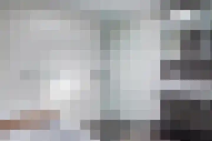 Korenmolen 1 Schagen thumbnail 15