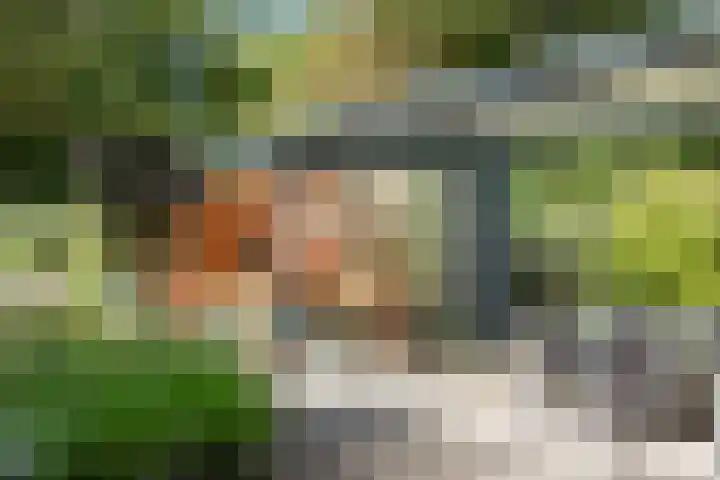 Korenmolen 1 Schagen thumbnail 18