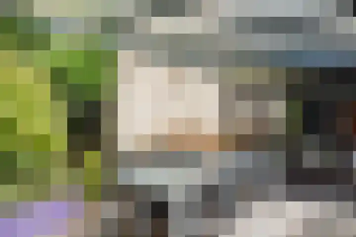 Korenmolen 1 Schagen thumbnail 20