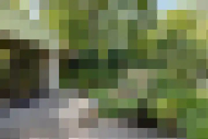 Korenmolen 1 Schagen thumbnail 21