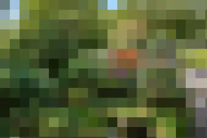 Korenmolen 1 Schagen thumbnail 22