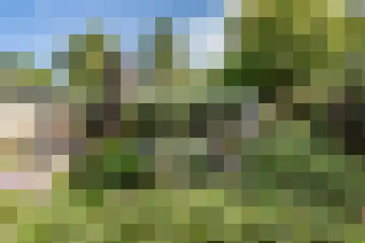 Korenmolen 1 Schagen thumbnail 23