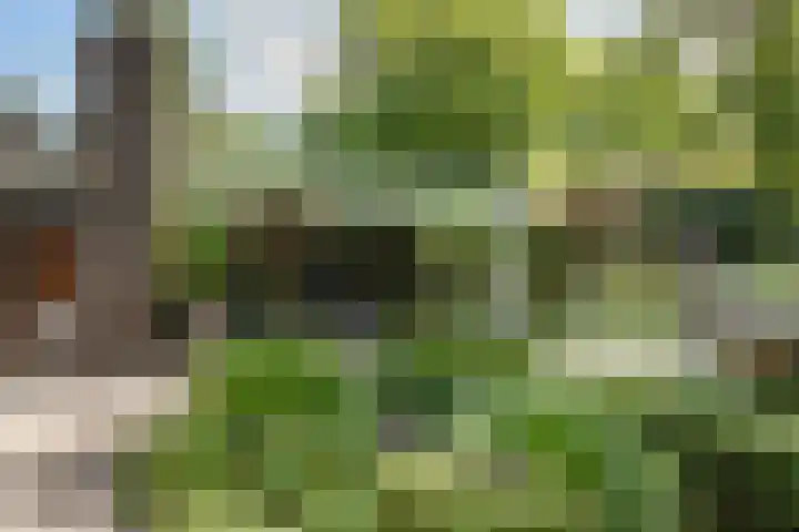 Korenmolen 1 Schagen thumbnail 24