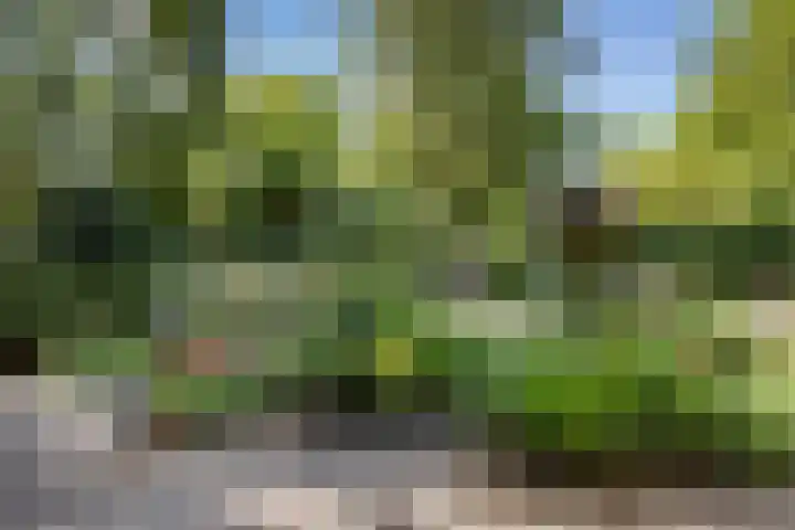 Korenmolen 1 Schagen thumbnail 26