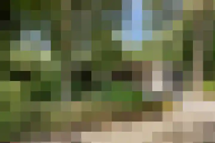 Korenmolen 1 Schagen thumbnail 27