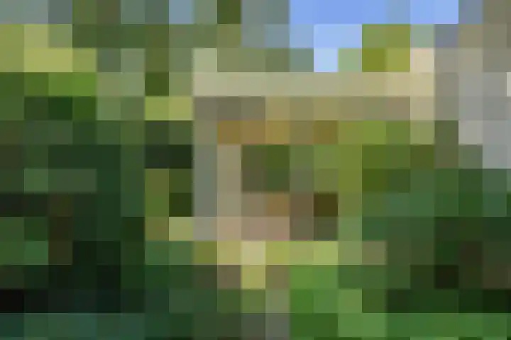 Korenmolen 1 Schagen thumbnail 4