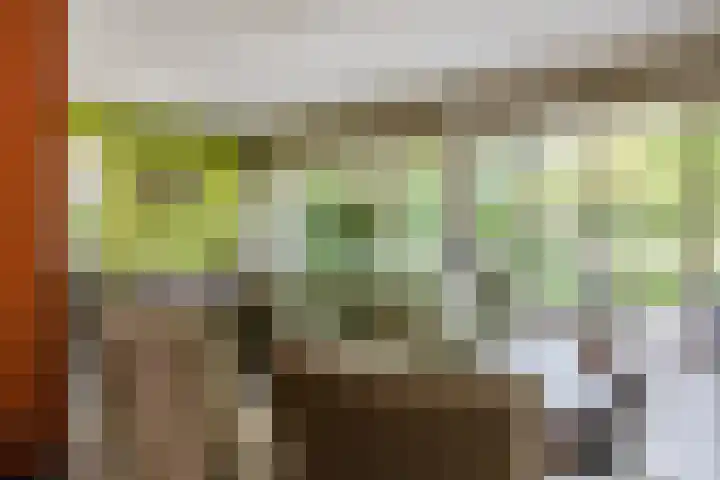 Korenmolen 1 Schagen thumbnail 5