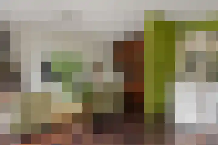 Korenmolen 1 Schagen thumbnail 9