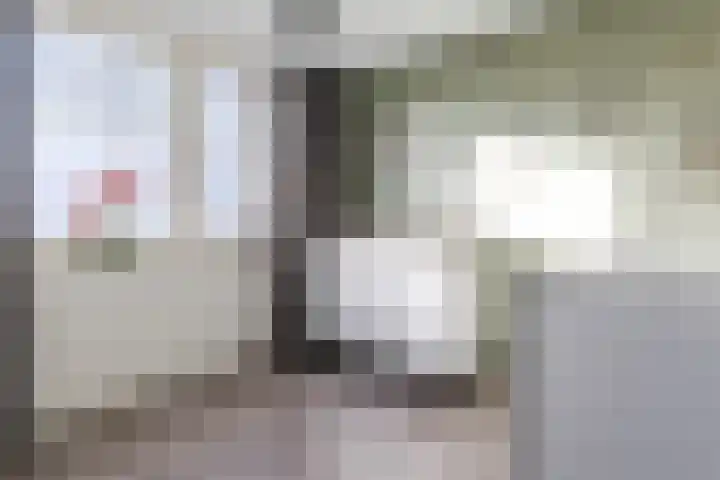 Korenmolen 1 Schijndel thumbnail 17