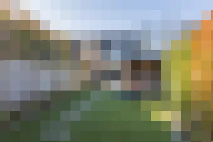 Korenmolen 1 Schijndel thumbnail 21