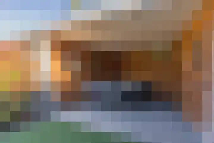Korenmolen 1 Schijndel thumbnail 23