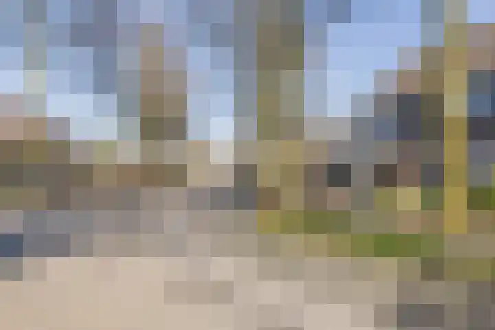 Korenmolen 1 Schijndel thumbnail 24