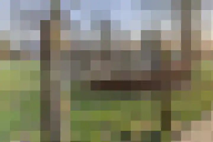 Korenmolen 1 Schijndel thumbnail 25