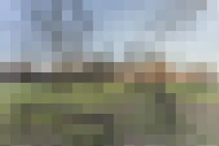 Korenmolen 1 Schijndel thumbnail 26
