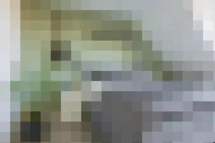Korenmolen 1 Schijndel thumbnail 4