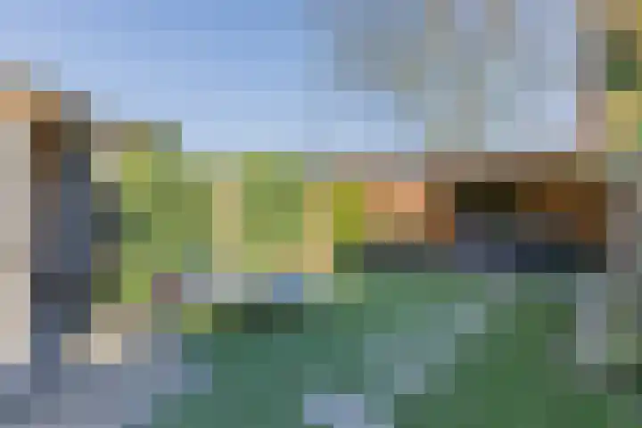 Korenmolen 1 Schijndel thumbnail 6