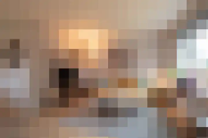 Korenmolen 1 Smilde thumbnail 10