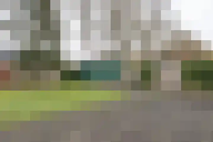 Korenmolen 1 Smilde thumbnail 37