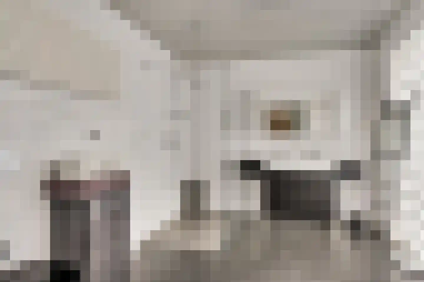 Korenmolen 1 Weert thumbnail 20