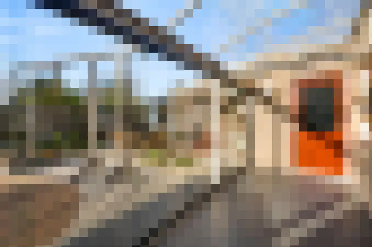 Korenmolen 1 Weert thumbnail 43