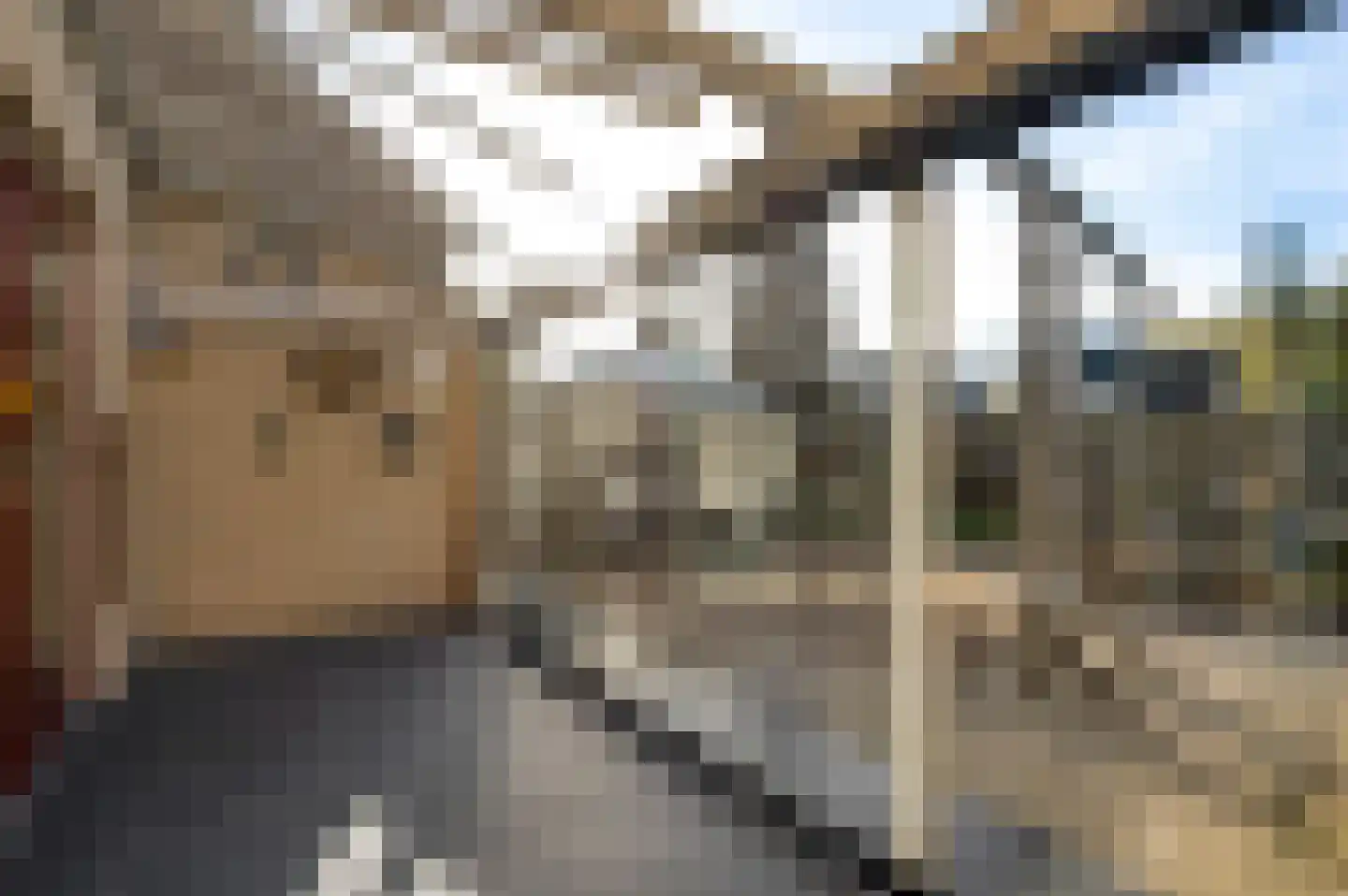 Korenmolen 1 Weert thumbnail 45