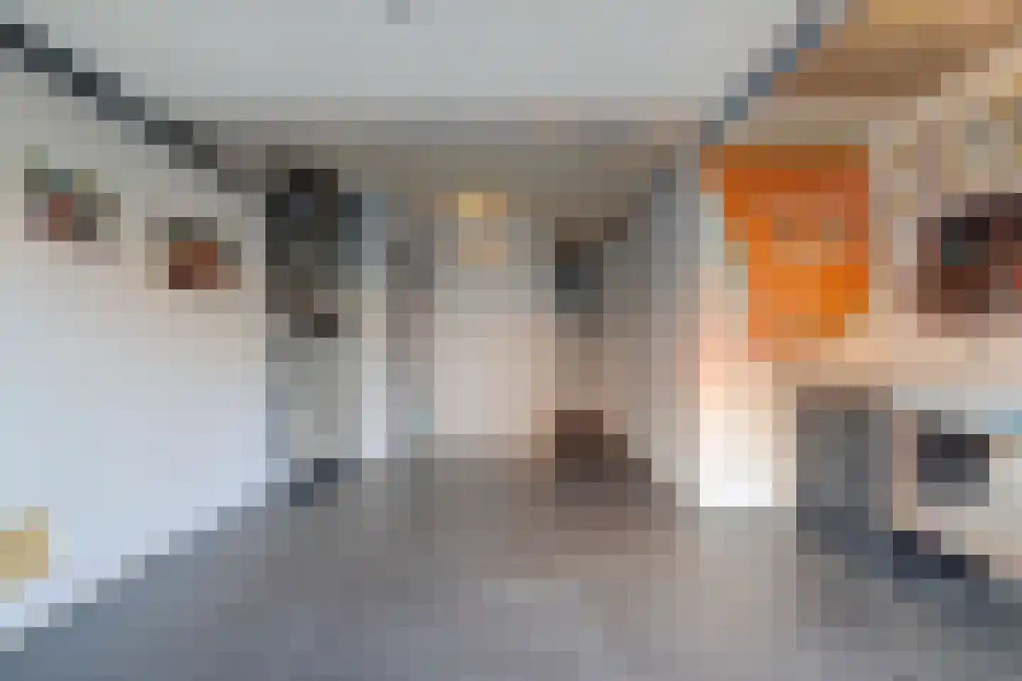 Korenmolen 10 De Lier thumbnail 17