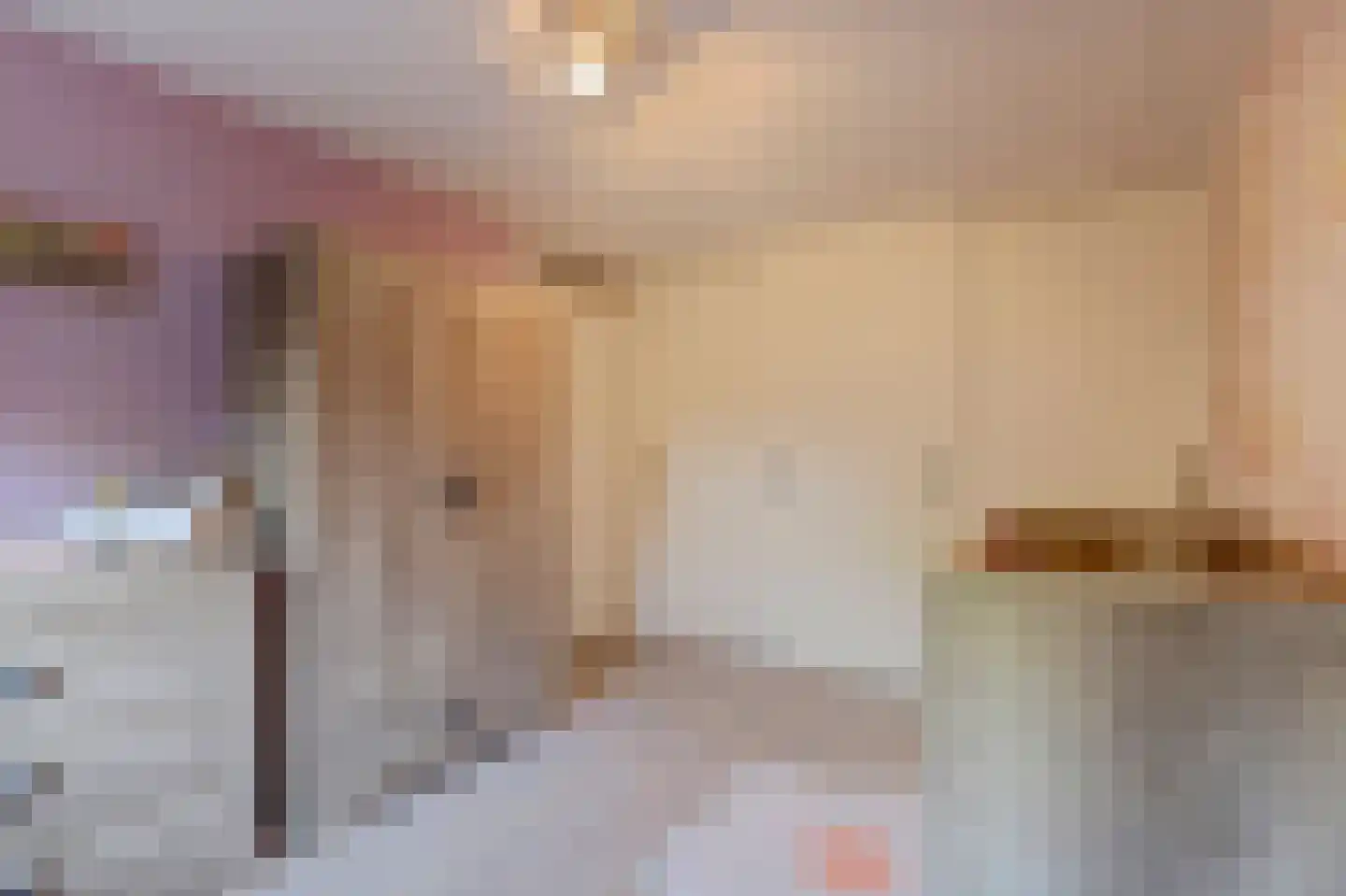 Korenmolen 10 De Lier thumbnail 19