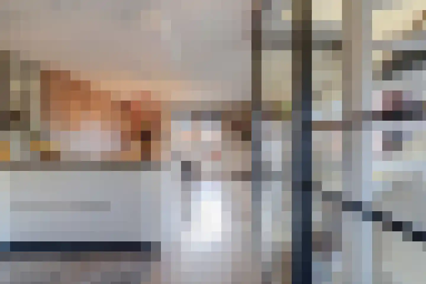 Korenmolen 10 De Lier thumbnail 20