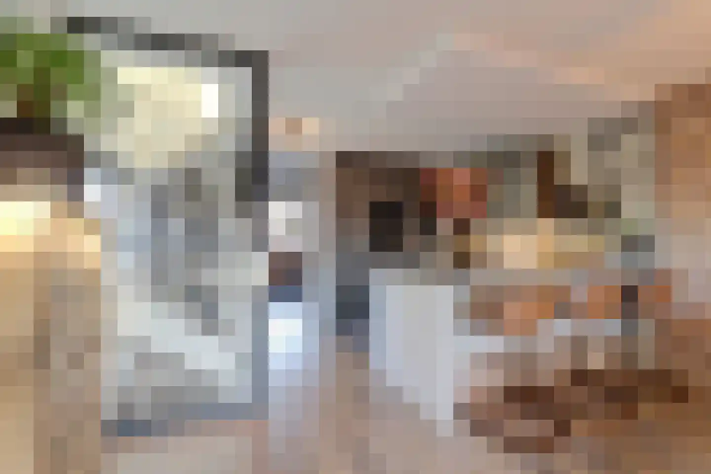 Korenmolen 10 De Lier thumbnail 27