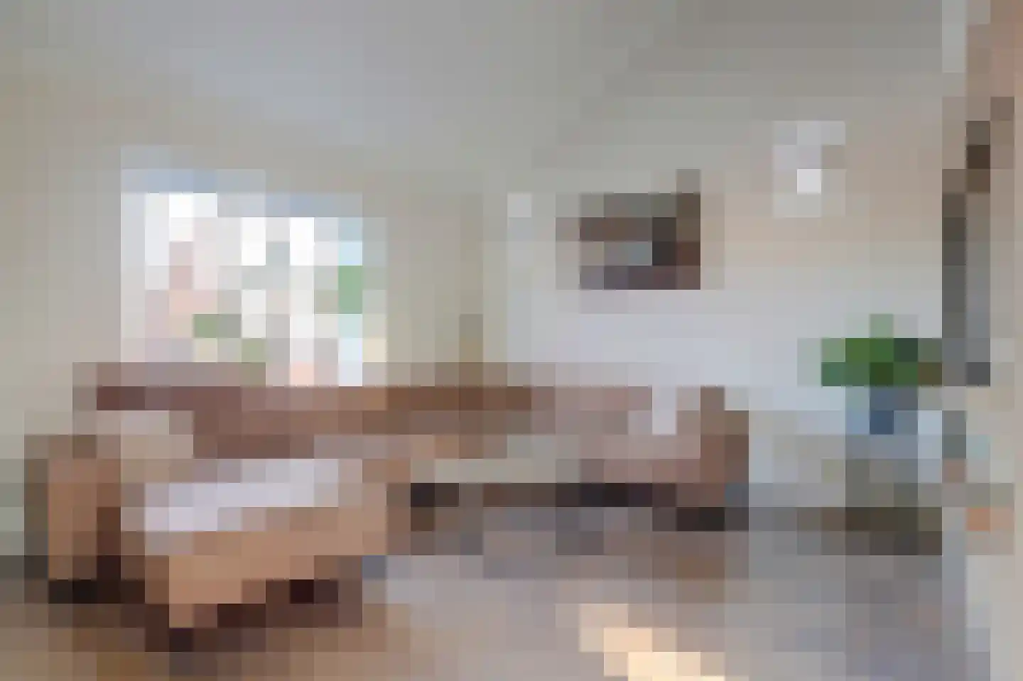 Korenmolen 10 De Lier thumbnail 30